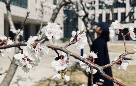 春暖花開(kāi)，不負陽(yáng)光