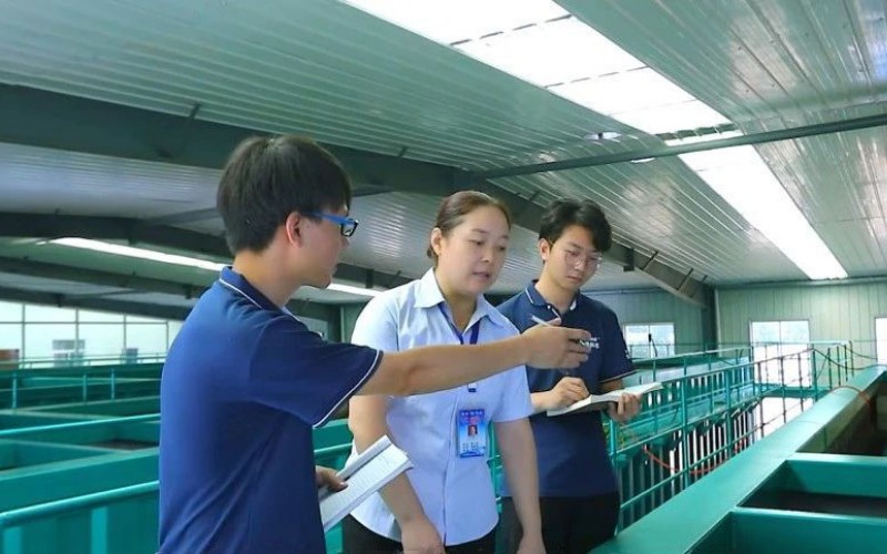 環(huán)境、給排水設計工程師