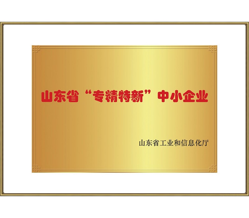 山東省專(zhuān)精特新證書(shū)